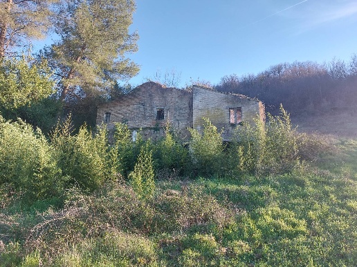 immagine annuncio 4 di 9