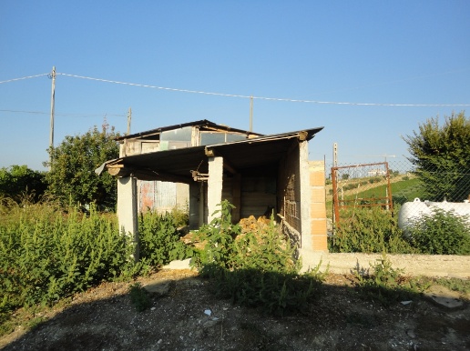 immagine annuncio 8 di 12