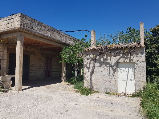 immagine annuncio 2 di 12