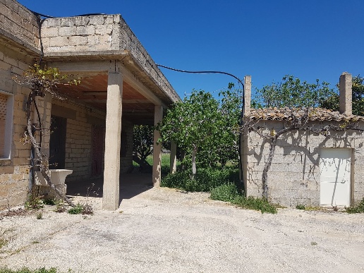 immagine annuncio 3 di 12