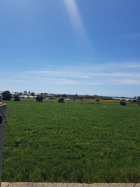 immagine annuncio 10 di 12