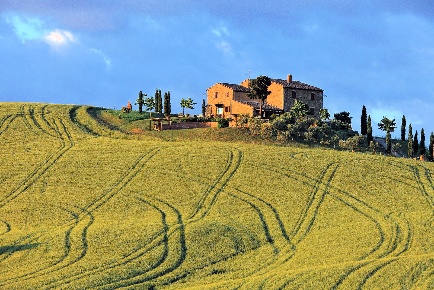 Foto Rustico in SP 53, Pienza di 550 m² con 14 locali in vendita
