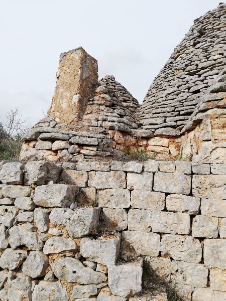 immagine annuncio 3 di 8