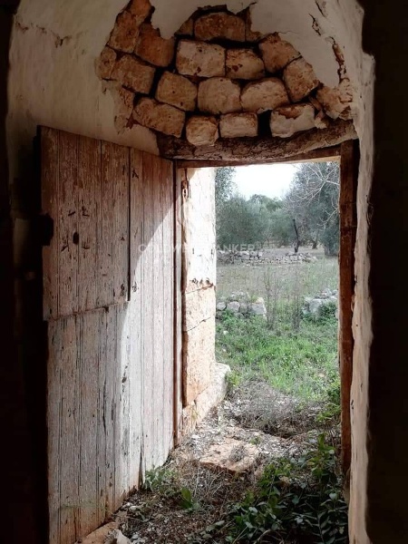 immagine annuncio 4 di 8