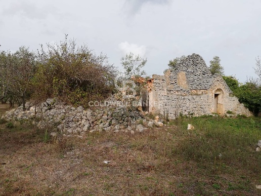 immagine annuncio 6 di 8