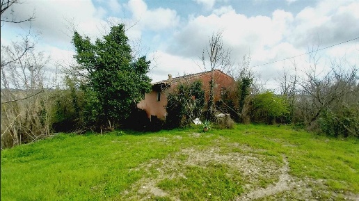 Foto Rustico a Montespertoli di 310 m² con 13 locali in vendita