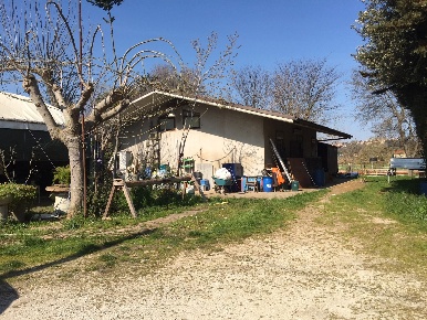 Foto Rustico in san bernardo, Chiaravalle Centro di 2500 m² con 3 locali