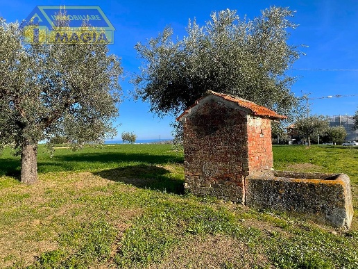 immagine annuncio 1 di 12