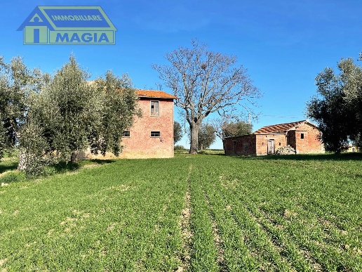 immagine annuncio 8 di 12
