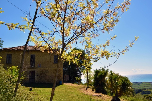 immagine annuncio 10 di 15