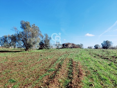 Foto Rustico in Località Vepre, Ischia di Castro di 50 m² con 1 locali