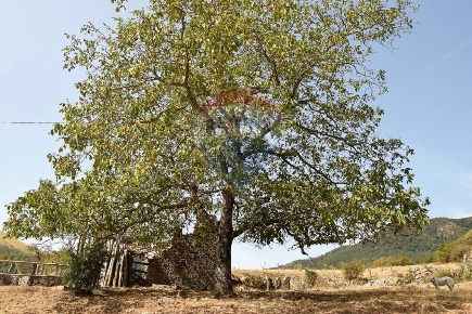 Foto Rustico a Bagni di Lucca di 85 m² con 4 locali in vendita