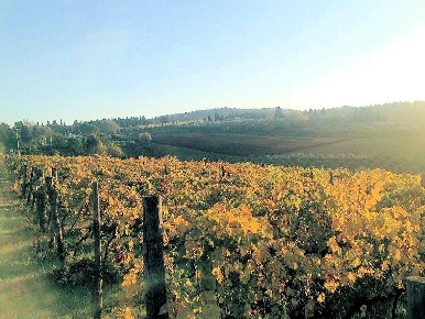 Foto Rustico a Grosseto Stazione - Via Roma di 1940 m² con 20 locali