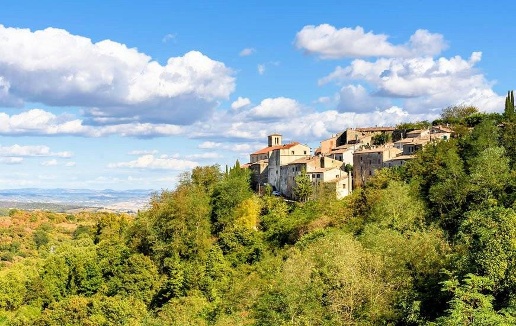 immagine annuncio 6 di 12