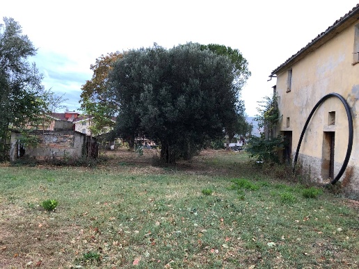 immagine annuncio 8 di 12