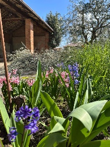 Foto Rustico in VIA TITO SPERI, Rovato Centro di 600 m² con 10 locali