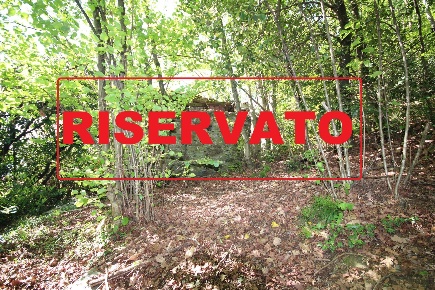 Foto Rustico in Socragno, Cannobio di 13 m² con 1 locali in vendita