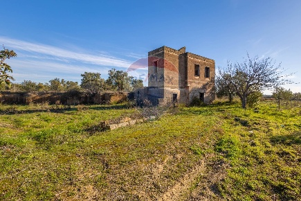 Foto Rustico in Strada Vicinale Sant'Angelo, Trani di 24500 m² con 3 locali