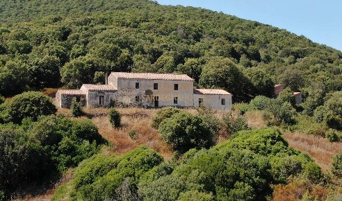 Foto Rustico a Viddalba in vendita