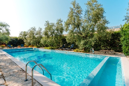 Foto Rustico in Strada Provinciale, Bisceglie di 1000 m² con 25 locali