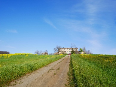 Foto Rustico in via malandrone - coscogno, Serramazzoni di 1000 m²