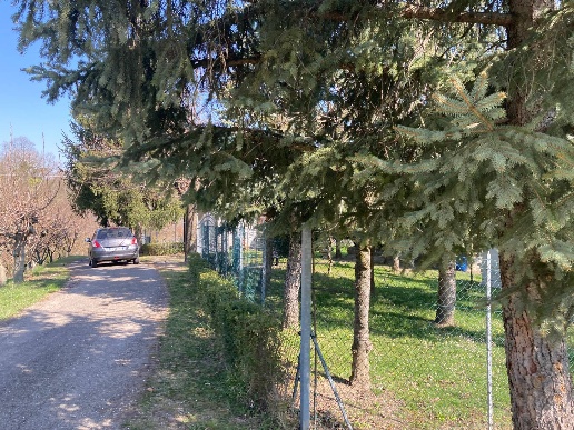 immagine annuncio 1 di 14