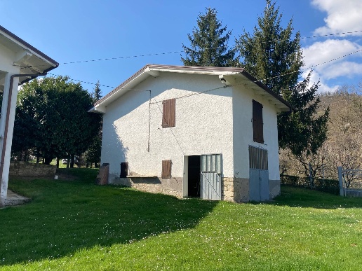 immagine annuncio 12 di 14