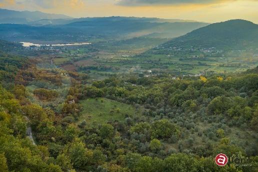 immagine annuncio 9 di 14