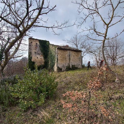 immagine annuncio 14 di 15