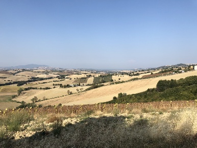 Foto Rustico in santa lucia, Recanati di 200 m² con 8 locali in vendita