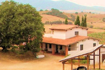 Foto Rustico a Magliano in Toscana Montiano di 700 m² con 11 locali