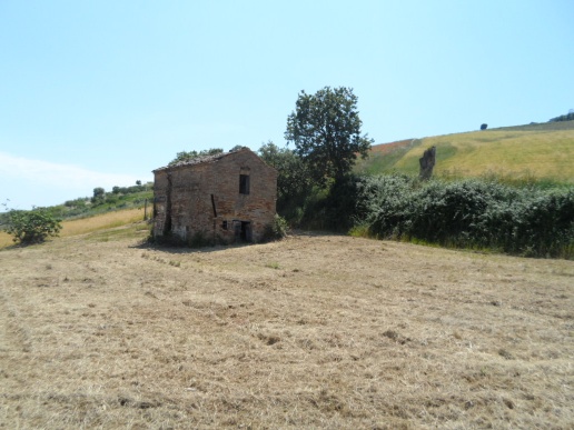 immagine annuncio 1 di 8