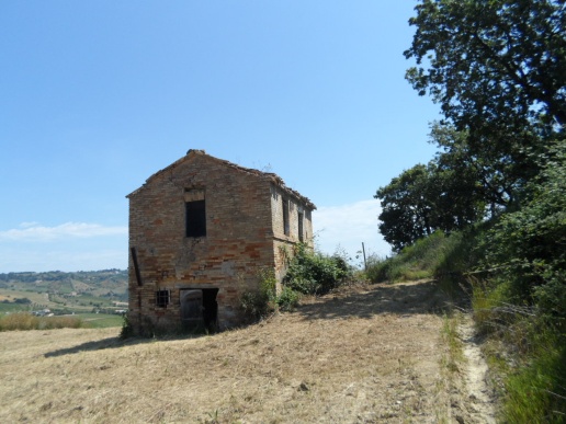 immagine annuncio 7 di 8