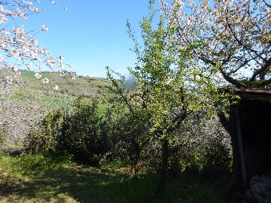 Foto Rustico in Contrada Castiglioni, Castignano di 300 m² con 6 locali