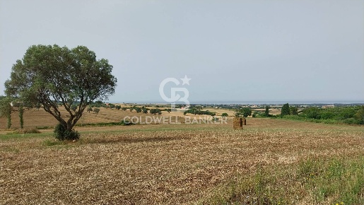 Foto Rustico in Località Fontanil della Torre, Tarquinia Campagna di 220 m²