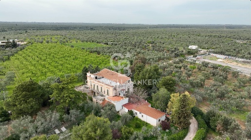 Foto Rustico in Contrada Tauro, Bitonto di 559 m² con 16 locali in vendita