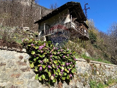 Foto Baita in LOCALITA VERSA, Fontainemore di 90 m² con 5 locali in vendita