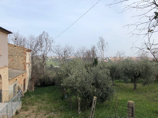 immagine annuncio 3 di 9