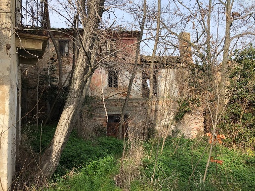 immagine annuncio 7 di 9