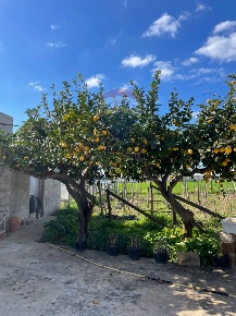 Foto Rustico in CONTRADA PIANO GRANDE, Scicli di 64 m² con 2 locali