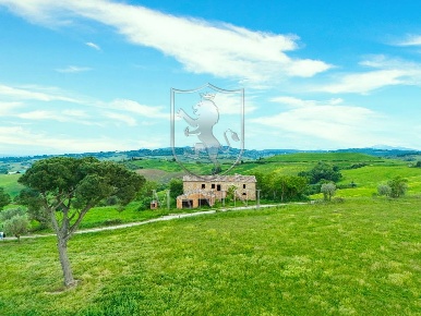 Foto Rustico in ciliano, Torrita di Siena di 760 m² con 20 locali