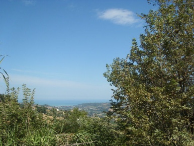 Foto Rustico in Montefiore, Montefiore dell'Aso di 210 m² con 8 locali