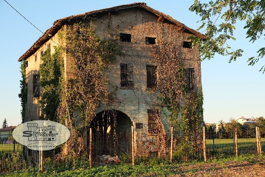 immagine annuncio 1 di 6