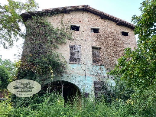 immagine annuncio 4 di 6