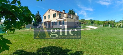 Foto Rustico in contrada rufiano, Castignano di 386 m² con 12 locali