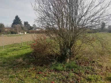 Foto Rustico in Via Sambughè, Preganziol di 300 m² con 6 locali in vendita