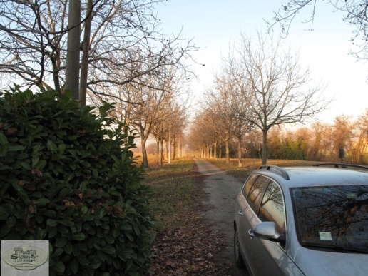 immagine annuncio 3 di 4