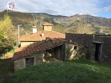 Foto Rustico in località Spaliena, San Godenzo di 470 m² con 15 locali