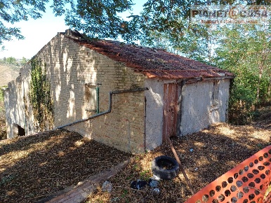 Foto Rustico in Strada Provinciale Appignano, Appignano del Tronto Centro