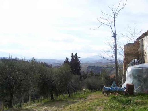 immagine annuncio 2 di 8